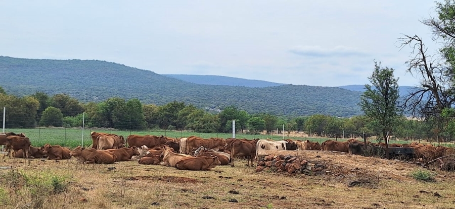 2 Bedroom Property for Sale in Swartruggens North West